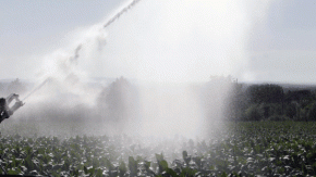2012-Water