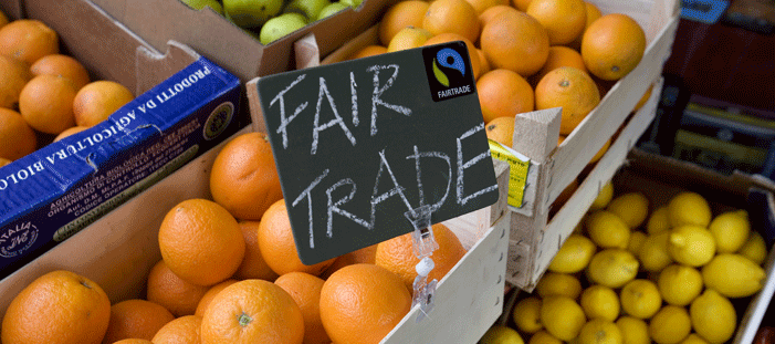 2013-Nederlanders en fairtrade 2012