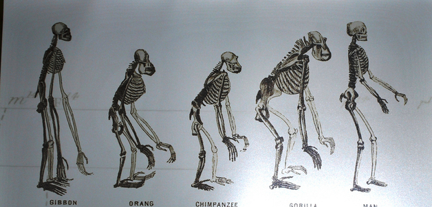 Image by E.D.W.W.