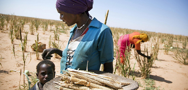 Family farming first