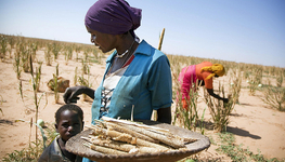 Family farming first