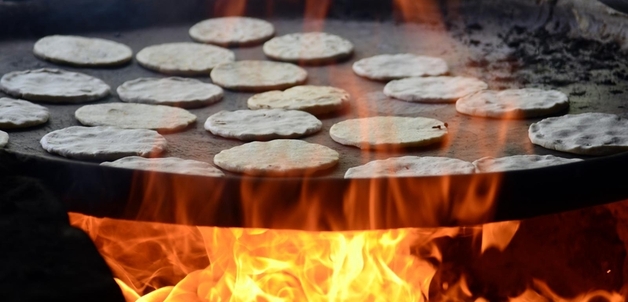 Food Security blog