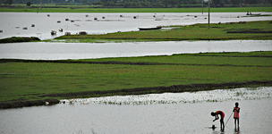 Mapping climate change and food insecurity