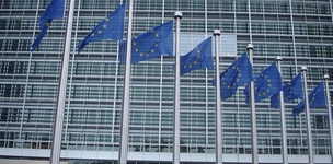 EC Rio+20 strategy doesn’t convince