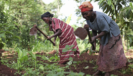 Tackling Inequality in Uganda 