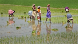 From water resources to water uses