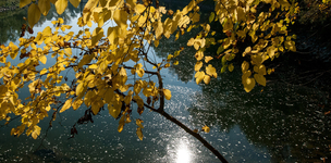 Water, a vital resource: waste not, want not