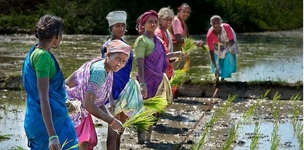 Water, gender and food security