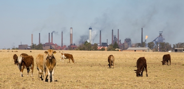 Photo credit: World Bank