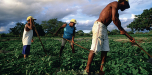 Rural governance that works
