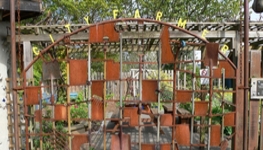 Urban agriculture for the urban poor 