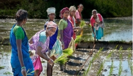 Water, gender and food security