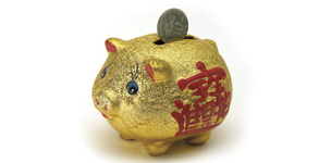 Chinese puzzle