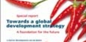 Towards a global development strategy