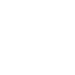 Human Security