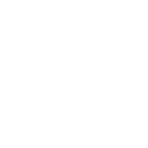 Human Security