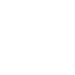 Inclusive Economy