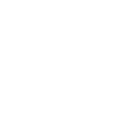 Inclusive Economy