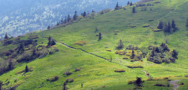 The stony path to a shared understanding of effective development policy
