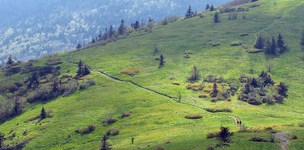 The stony path to a shared understanding of effective development policy