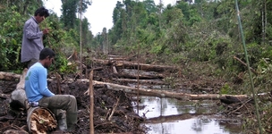Deforestation and community-outsider conflicts