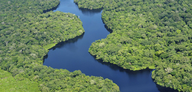 Amazon11 / CIAT via Flickr