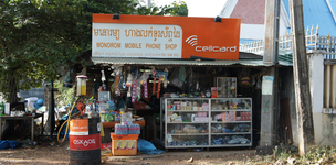 Coming full-circle: migrant and remigrant entrepreneurs