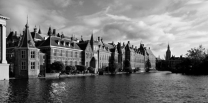 Successful consultation for minister Ploumen’s letter to parliament