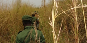 The construction of knowledge on rebel groups: ‘a Lord’s Resistance Army for everyone’