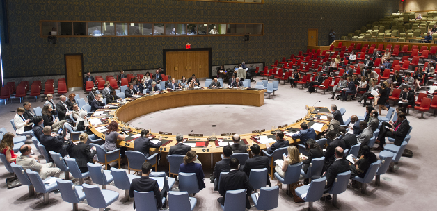 UNAMA Photo UNAMA Head Nicholas Haysom addresses Security Council / Via Flickr