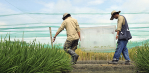 The four keys to achieving mutuality in cross-sector partnerships