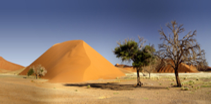 Expect the unexpected: focus on the unintended effects of international cooperation