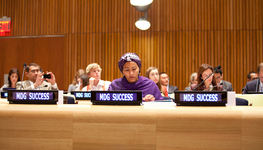 Europe and the sustainable development goals