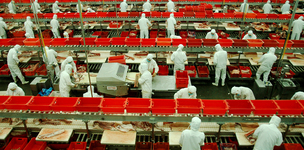 Revaluing labour