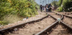 The Migration Trail