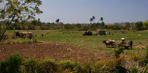 Paradoxes in food security