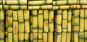 Agriculture Beyond Food 
