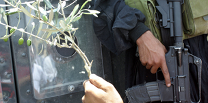 Palestine for aid reform