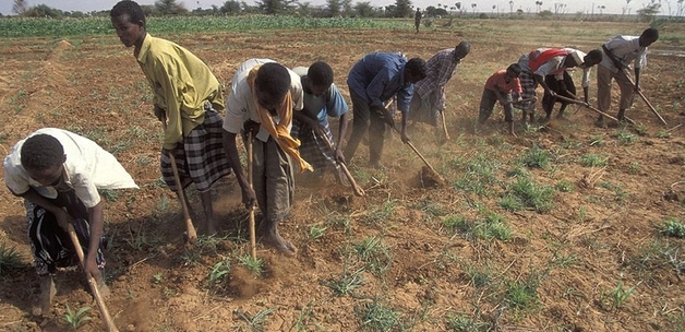 Planting crops. Kenya / Curt Carnemark - World Bank via flickr