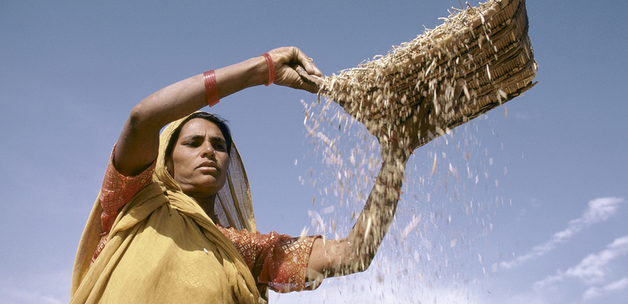 Sifting grain. India / Ray Witlin, World Bank Photo Collection via Flickr