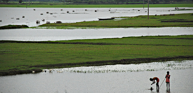 Photo by Amirjina / Bangladesh