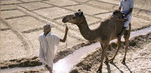 World Bank Photo Collection