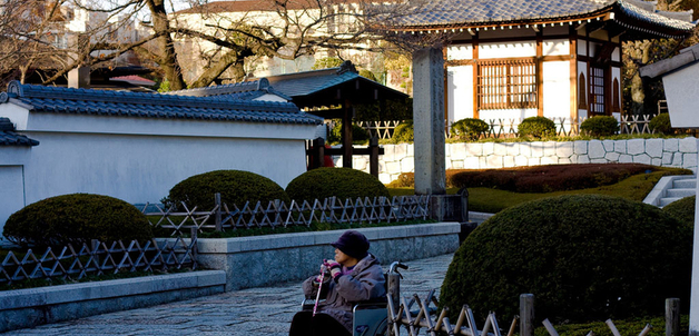 Glen Malley / Japan