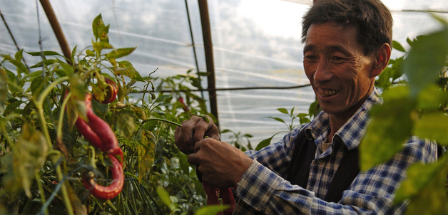 Liang Qiang / World Bank - A farmer in Gansu province, China