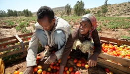 Ethiopia leads the way