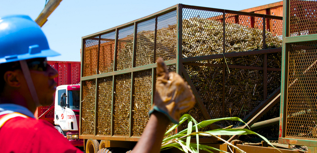 Shell / ethanol from Brazilian sugar cane.