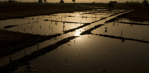 Good water governance