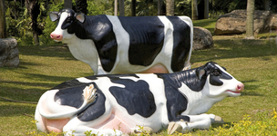 Green pastures for all