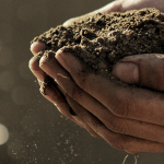 embrace-the-earth-banner