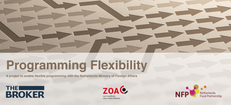 programming flexibility banner